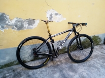 CUBE 29 singlespeed