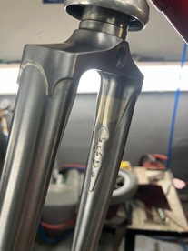 Cucchietti (Olmo)