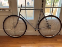Cucchietti (Olmo)