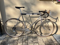 Cucchietti (Olmo)