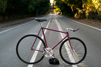 Custom Banani Pursuit Pista photo