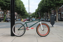 Custom Blank Grizzly BMX