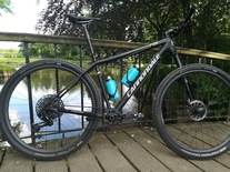 Custom Cannondale F29 "Black Betty"