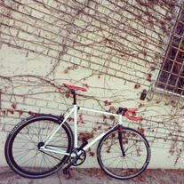 ...custom Contender (State Bicycle Co.) photo
