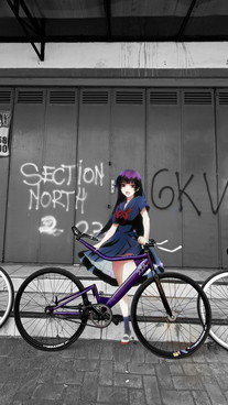 Custom fixed bike photo