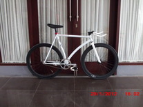 Custom Fixed Gear 53cm