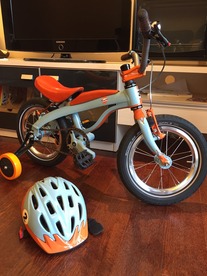 Custom Gulf racing kids bike photo