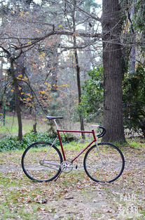 Custom Kumo Cycles Track photo