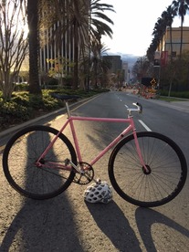 Custom lugged Davidson Track photo