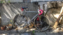 Custom Ave Maldea Track 2015 photo