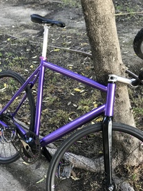 Custom Purp Pista Concept photo