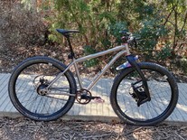 Custom Ti ATB - Rohloff, Gates, Lauf