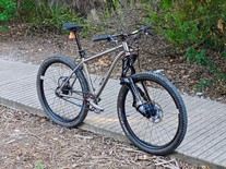 Custom Ti hardtail - Rohloff, Gates, E18