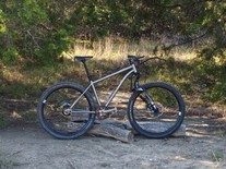 Custom Ti hardtail - Rohloff, Gates, E18