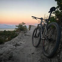 Cysco Ti Singlespeed 29er