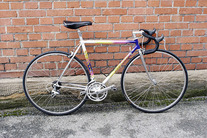 Dancelli Road Bike photo