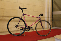 Daniel Salmon pursuit 600/700
