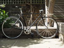 Dawes Rat bike photo