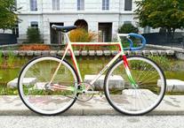 D.Cattin Custom Track bike