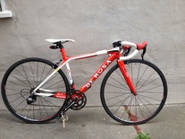 de rosa king 3 rs 50cm