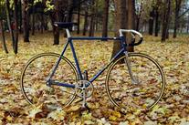 De Rosa Professional Pista
