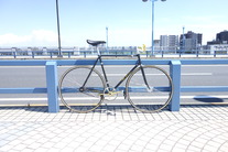 DEROSA PISTA 70'S photo