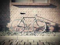 DIAMANT singlespeed