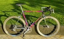 Diamant SP93 with wishbone rear