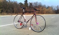 Diamant Track Bike photo