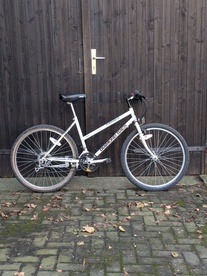 Diamond Back Topanga Lady 1991 photo