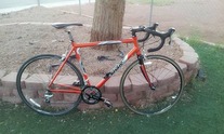 Diamondback Podium 2