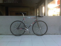 Dignity Pursuit ( Indonesia Custom )