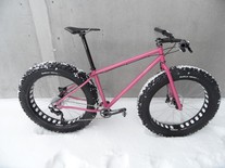 DIY Fatbike photo