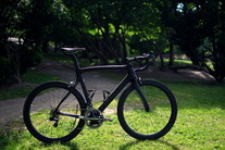 Dogma F8 photo