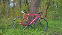 Dolan Pre Cursa 56cm red photo