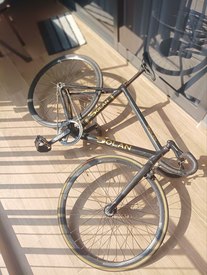 Dolan track champion black and gold photo