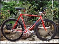 Eddy Merckx Lo-Pro