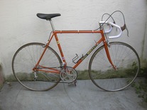 Eddy Merckx Molteni Colnago