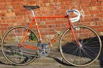 Eddy Merckx Molteni replica photo