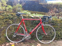 Eddy Merckx MX Leader