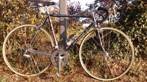 Eddy Merckx MX Leader - Dura Ace 7800 photo