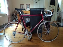 Eddy Merckx Professional 1981