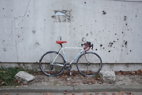 EDDY MERCKX STRADA O.S SINCE 1995 photo