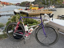 Eddy Merckx Corsa Extra Team Weinmann