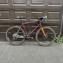 Edelbike custom