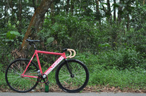 Ehsan Shafiq's Colossi Low Pro