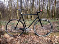 Einzig FGCX Track bike