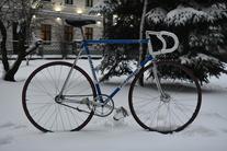 F Moser Prestige Pista