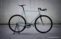 F5 Pista Custom : Phil