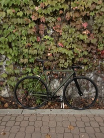 Factory Five F550s